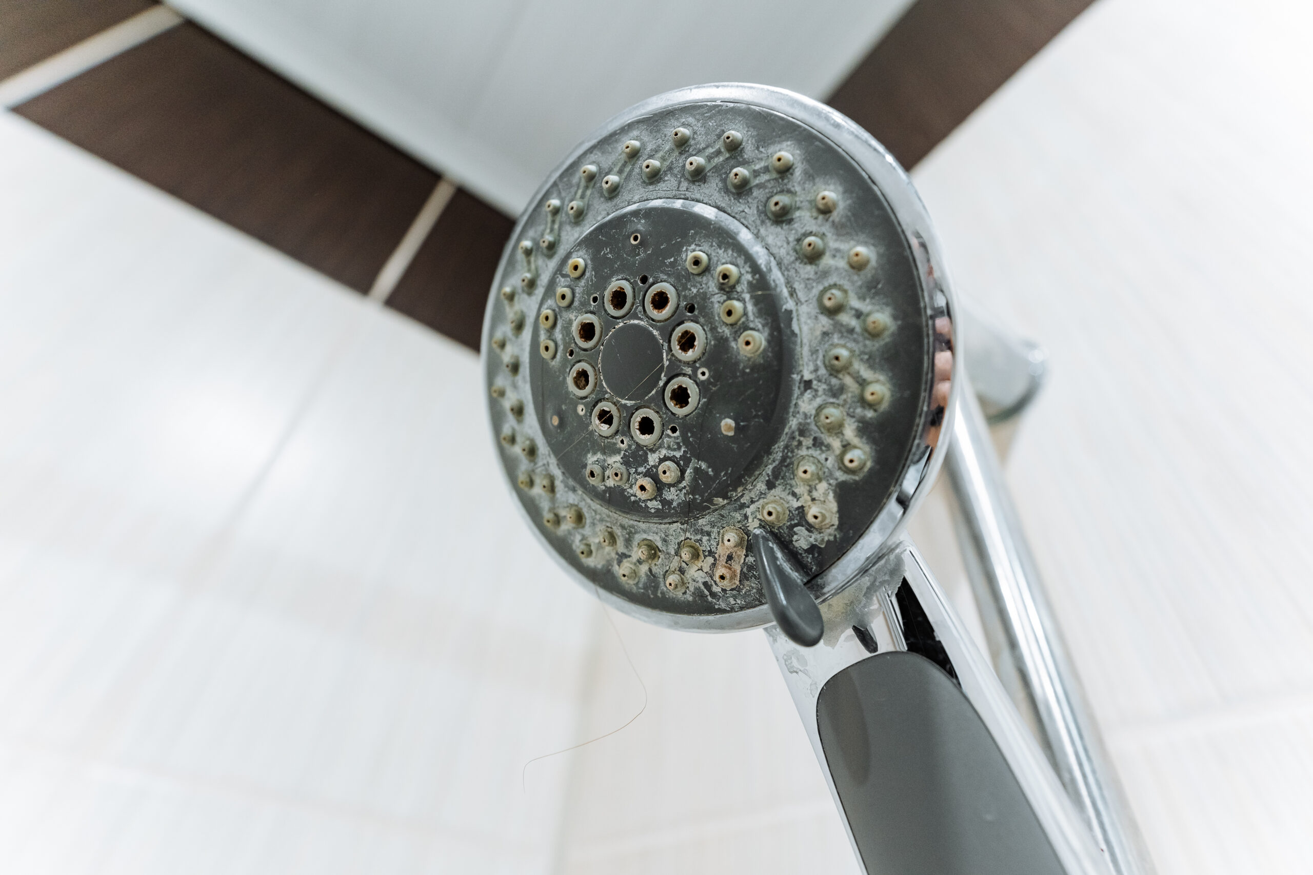 Close-up showerhead with heavy limescale buildup, macro detail showing clogged nozzles and dull chrome.